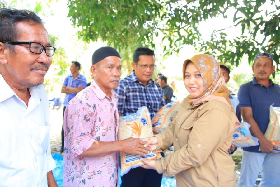 7800 Kg Benih Padi diserahkan Kepada Kelompok Tani Desa Sidua-dua