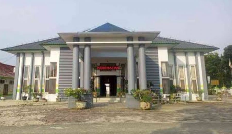 Gawat !!! BPK Temukan Dinas Kesehatan Labura Salah Penganggaran Belanja Modal dan Jasa Ratusan Juta