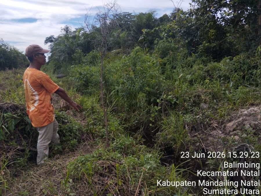 Irwandi  Perangkat Desa Balimbing dan Rismanto Terancam Dipolisikan Soal Pengrusakan lahan.