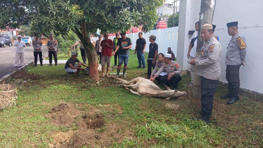 Kapolsek Kualuh Hulu Serahkan Daging Qurban ke Sejumlah Awak Media : Mohon Maaf Atas Keterbatasan