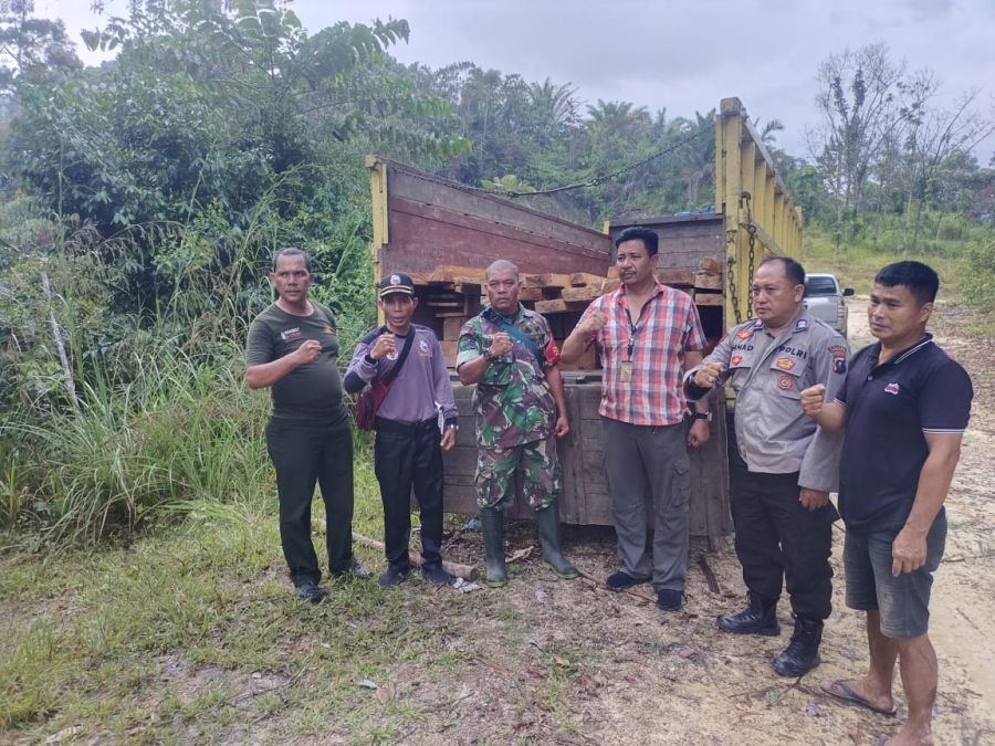 Masyarakat Tanah Adat Minta Polres Tapsel Tangkap Pelaku Pembalakan Kayu
