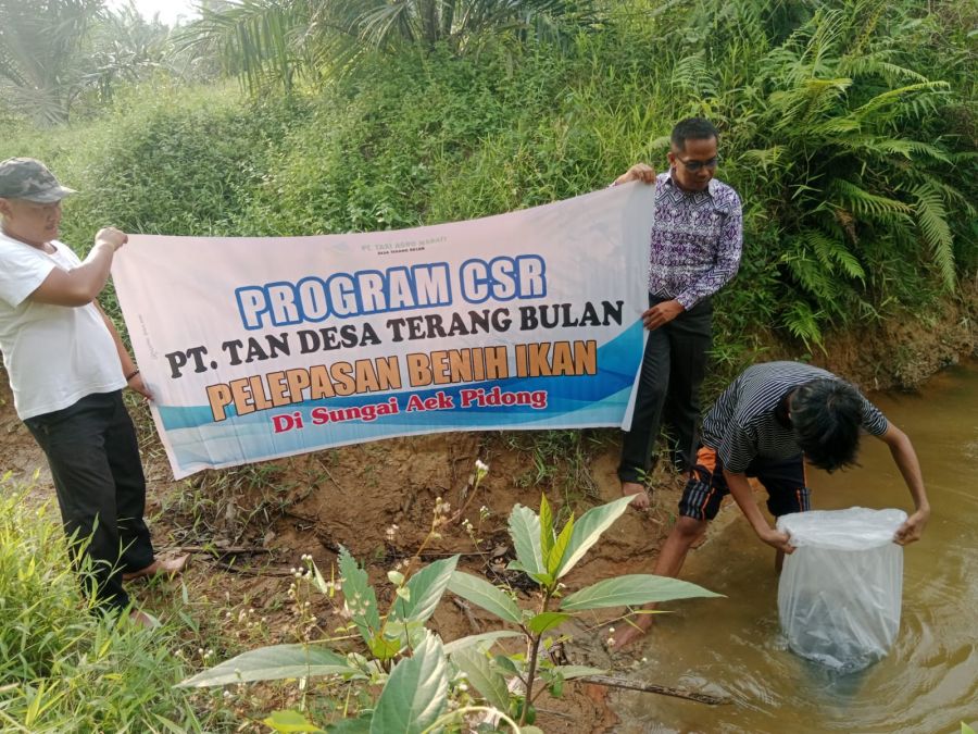 Peduli Lingkungan, PT TAN Lepas 2000 Benih Ikan di Aliran Sungai Aek Pidong
