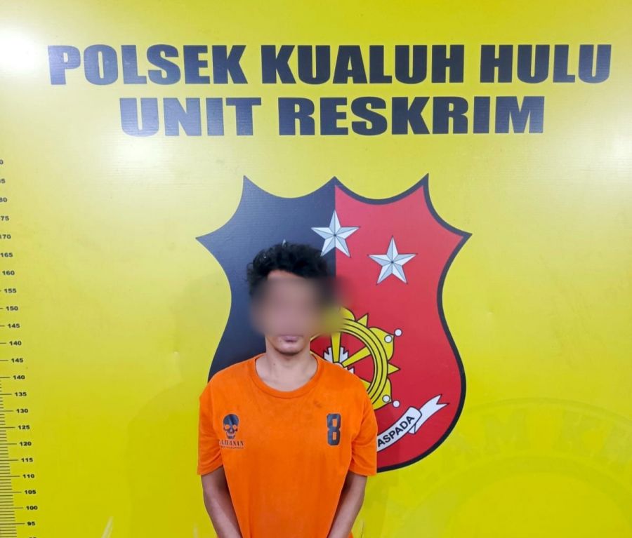 Pelaku Pencuri Babi di Tangkap Unit Reskrim Polsek Kualuh Hulu