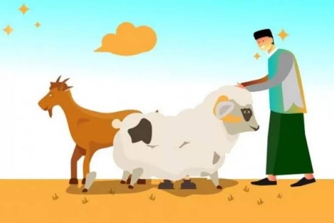 Pemkab Labuhanbatu Utara Siapkan 90 Ekor Sapi Qurban, Ini Penjelasan Sekda Muhammad Suib Sitorus