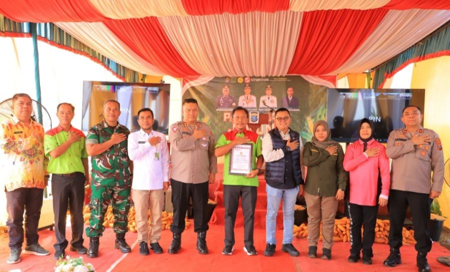 Pemkab Labura dan Polres Labuhanbatu Panen Raya Jagung, Dorong Swasembada Pangan Nasional