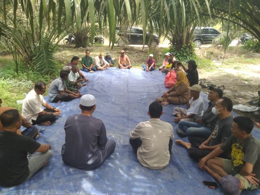 Perjuangan PSI dan GM FKPPI Berbuah Hasil, Ratusan Hektare Sawah di Pulau Tagor Kembali Ditanami Pad