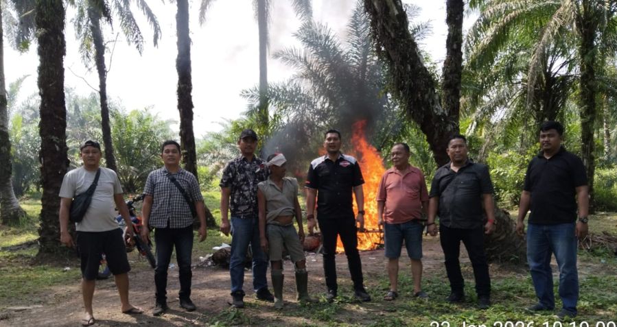 Polsek Kualuh Hulu Gerebek Sarang Narkoba di Damuli Pekan, Gubuk Diduga Lokasi Transaksi Dibakar