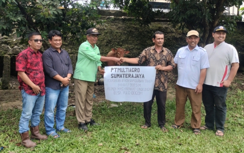 PT Multiagro Sumatera Jaya Serahkan 1 Ekor Sapi Qurban Kepada BKM Al Muttaqin Desa Pulo Dogom