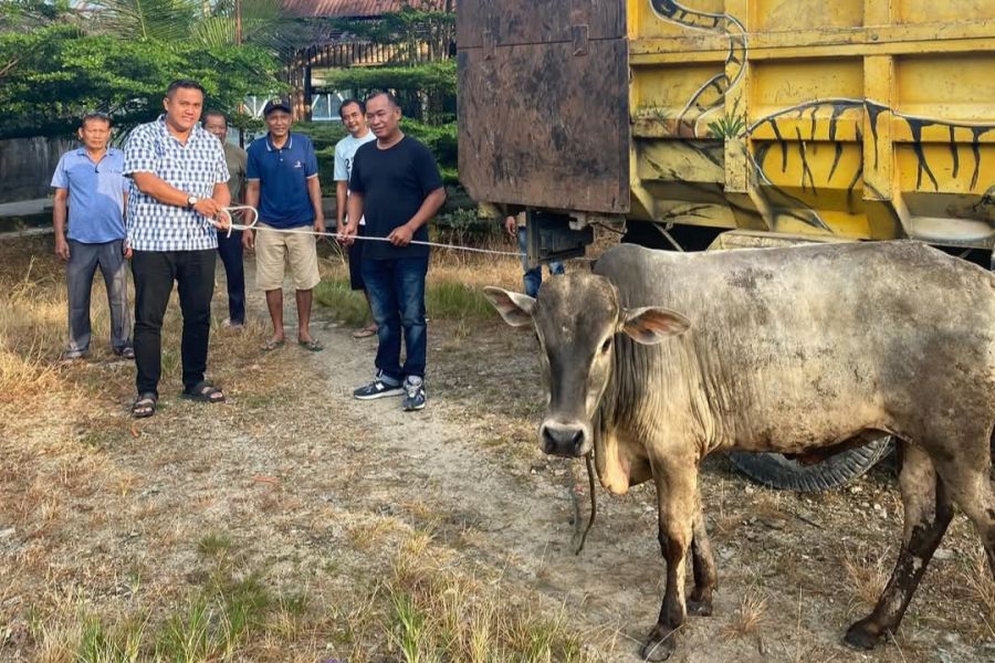 Sambut Idul Adha 1446 H, Waket Baleg DPR RI Martin Manurung Salurkan Hewan Qurban untuk Warga Labura