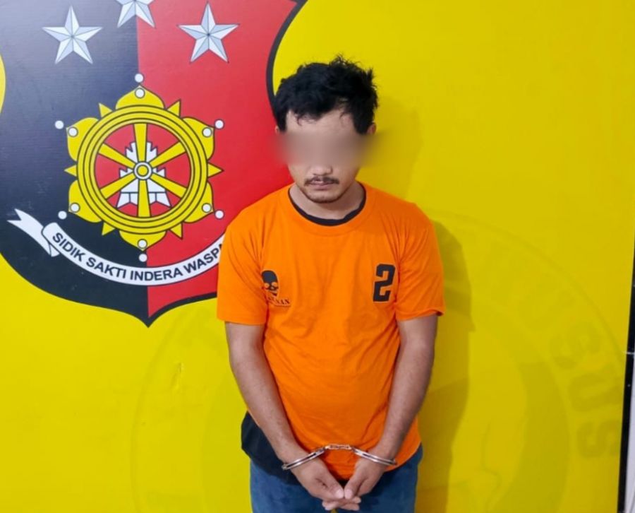 Sempat DPO, Otak Pelaku Pencuri Babi Diringkus Reskrim Polsek Kualuh Hulu