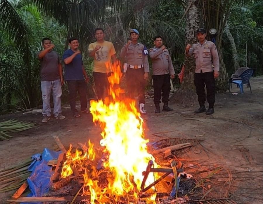 Unit Reskrim Polsek Na IX-X Bakar Pondok Diduga Tempat Penyalahgunaan Sabu di Perkebunan Sawit