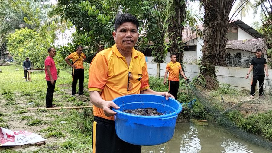 Usai Panen Ubi, Polsek Kualuh Hulu Gelar Panen Ikan Lele