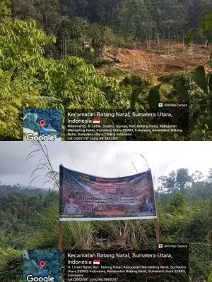 air-sungai-batang-natal-tercemar-pelaku-peti-dilaporkan-ke-ksp-di-jakarta