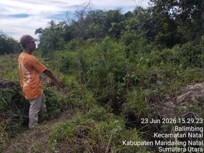 irwandi-perangkat-desa-balimbing-dan-rismanto-terancam-dipolisikan-soal-pengrusakan-lahan