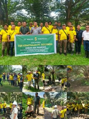 PT Socfindo Gelar Kunjungan Lapangan BMP, Kelompok Tani Mandiri III Pelajari Teknik Budidaya Sawit
